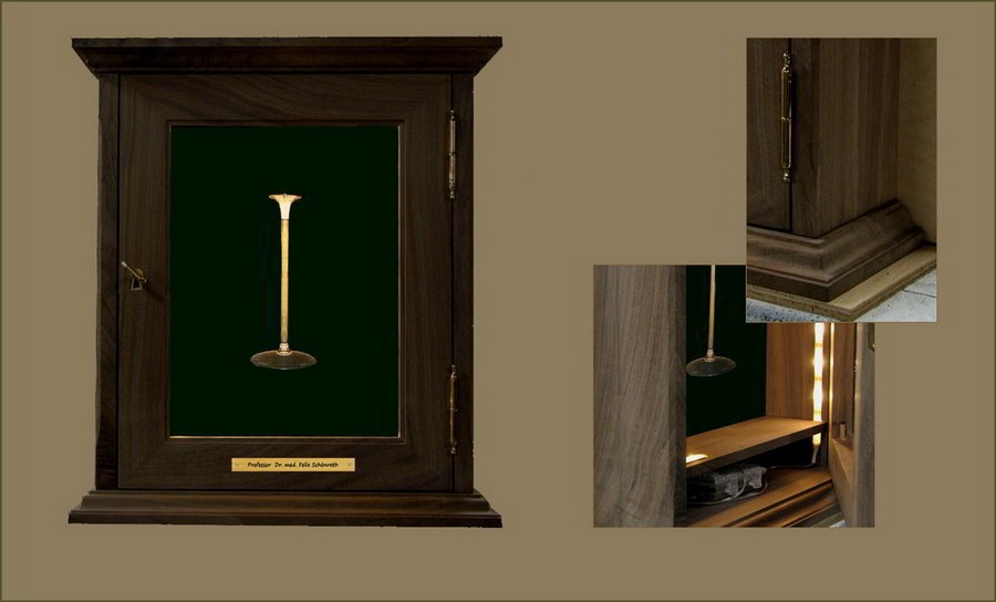 Beleuchtete Wandvitrine von Vitrinen Hesemann